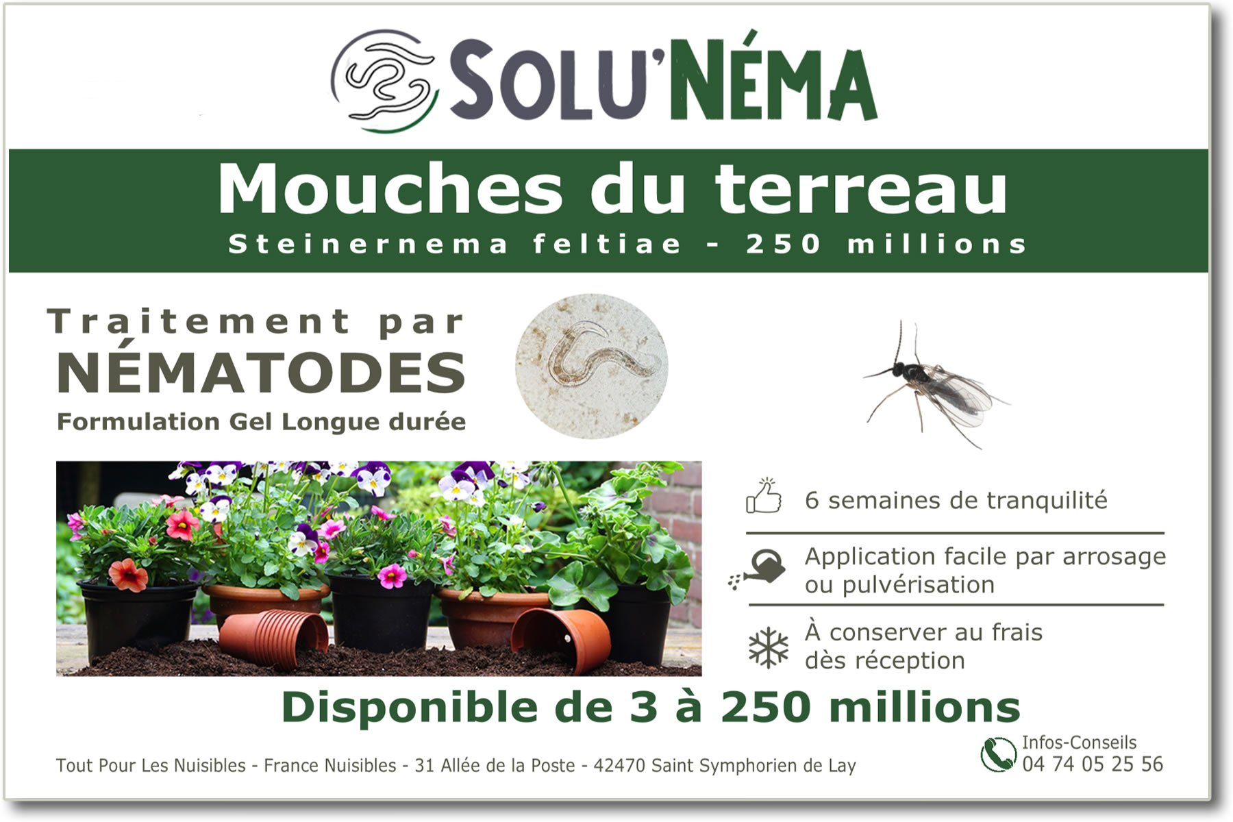 SOLUNEMA - Mouches des terreaux - Nématodes  (SF)